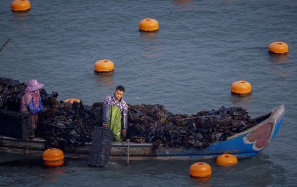 Хятад, Тайванийн асуудлаас болж загасчид хүнд байдалд орж байна