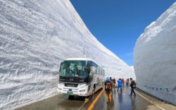Япон: Их цасан хөндийн аялал нээгджээ