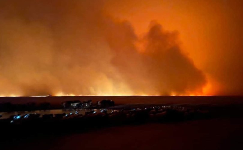 Дорнод, Сүхбаатарт гарч буй хээрийн түймрийг унтраахаар 260 хүн ажиллаж байна