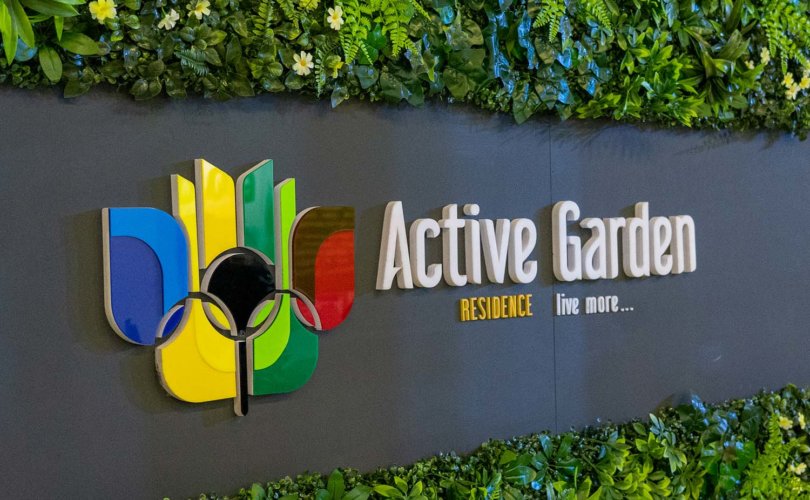 Active garden: “Улаанбаатар барилга – 2023” үзэсгэлэнгийн онцлох төслөөр шалгарлаа