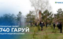 “Голомтын төгөл” 740 гаруй гацуур модтой боллоо
