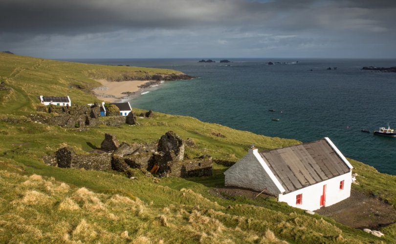 Ирландын арлуудад суурьшвал 92 мянган доллар олгоно