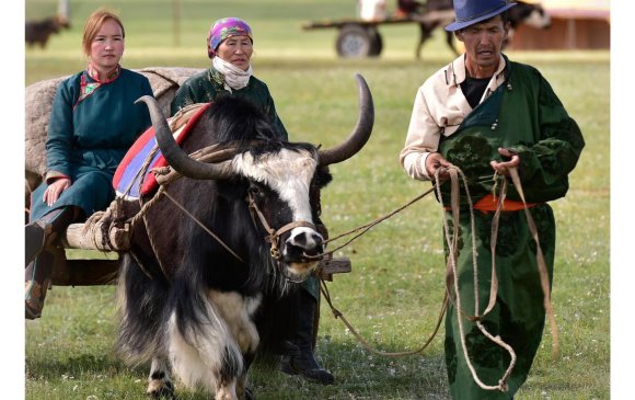 Монгол нүүдлийн зан үйлээ ЮНЕСКО-д бүртгүүлнэ