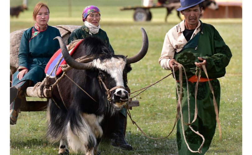 Монгол нүүдлийн зан үйлээ ЮНЕСКО-д бүртгүүлнэ