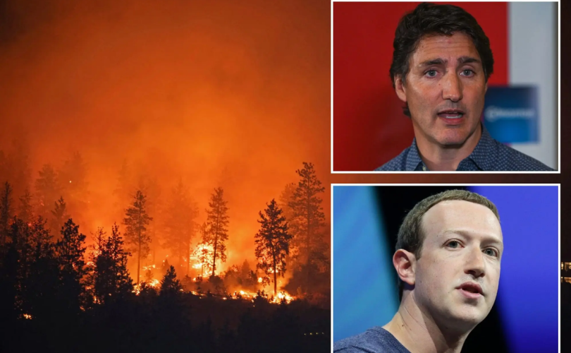 "Meta" компани Канадын түймрийг үл тоов