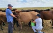 М.Энхболд цагаа хүлээн, унагаа тамгалсан шиг амарч явна