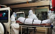 Энэтхэгт сарьсан багваахайн Нипа вирусээр 2 хүн нас баржээ