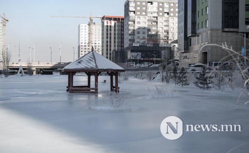 Сэлбийн орчим халиа үүсгэсэн компанид хариуцлага тооцно