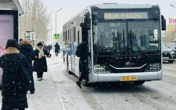 Шинэ автобуснууд өчигдрөөс үйлчилгээнд гарлаа