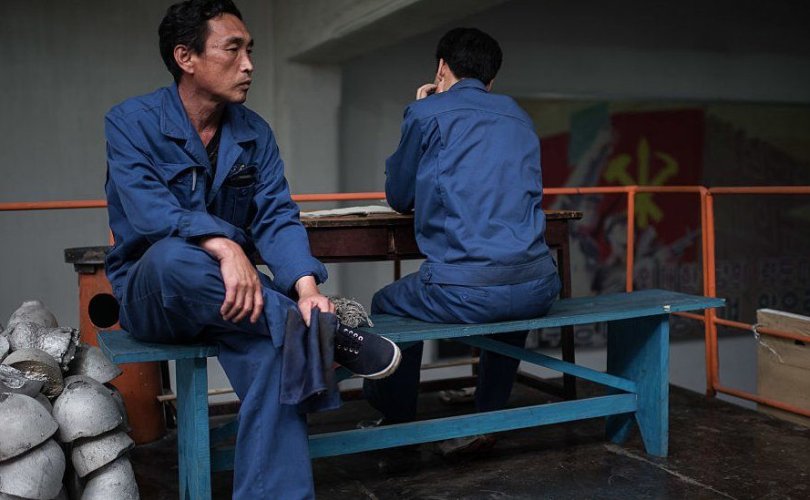 Хойд солонгосчууд Хятадад боолын хөдөлмөр эрхэлж байна
