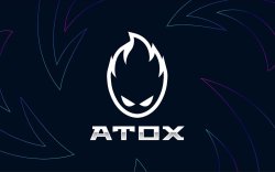 "ATOX Esports" Мэйжорт шалгарч чадах болов уу?