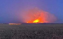 8000 га хээрийн талбай гал түймэрт өртжээ