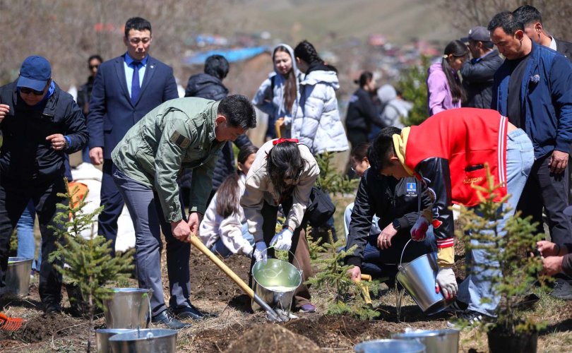 Монгол Улсын Ерөнхийлөгч “Нөхөрлөлийн ой” цэцэрлэгт хүрээлэнд мод тарилаа