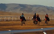 Монголын анхны холын зайн морин тойруулгын “Hipay Cup 24“ уралдаан болно