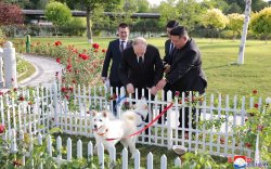 Ким Жон Ун Путинд хос Пунсан үүлдвэрийн нохой бэлэглэжээ