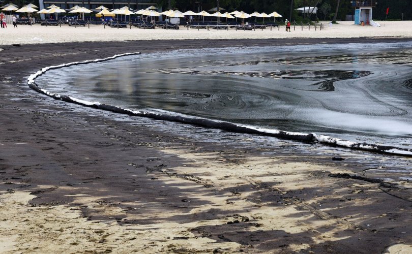 Сингапур: Газрын тос асгарснаас далайн эрэг орчмыг хаажээ