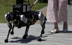 Харааны бэрхшээлтэй хүнд зориулсан робот нохой бүтээжээ