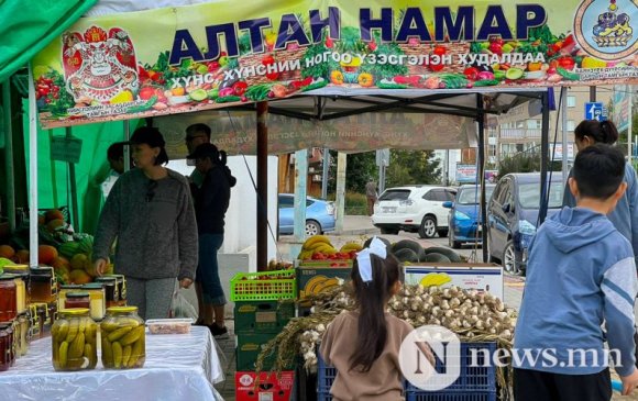 Сурвалжлага: "Алтан намар"-ын жимс, ногоо хямд байна