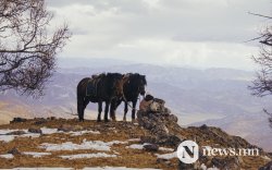 Уулархаг нутгаар ялимгүй цас орно