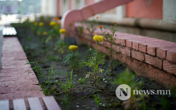 "50 метр хүртэлх газраа цэвэрлээгүй бол Зөрчлийн хуулиар торгоно"