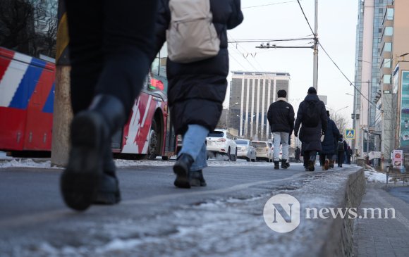 Фото: Улаанбаатарчуудын пингвин алхалт