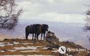 Ирэх саруудад цаг агаар ямар байх вэ?