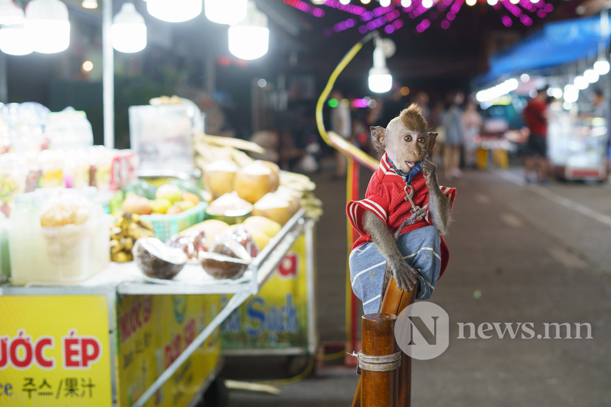 phuquoc night market (24 of 39)