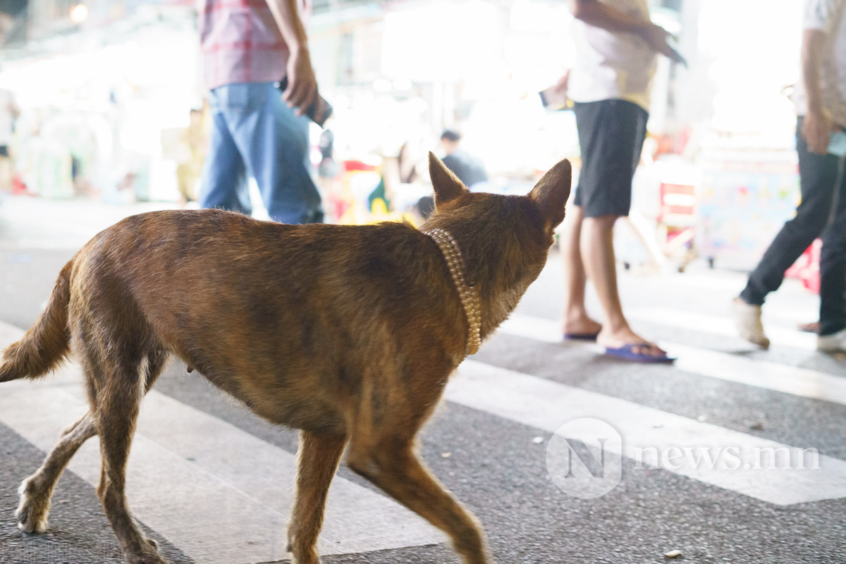 phuquoc night market (31 of 39)