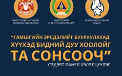 Панел хэлэлцүүлэг ирэх Лхагва гаригт болно