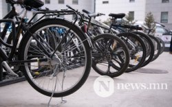 Ирэх 7 хоногт болох дугуйтай өдрөөр дараах замуудыг хаана