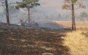 Хүдэр суманд гарсан ойн түймрийг унтраахаар ажиллаж байна