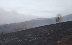 Хүдэр, Баян-Агт суманд гарсан ойн түймрийг цурманд орууллаа