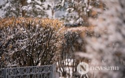 Зарим нутгаар нойтон цас орно