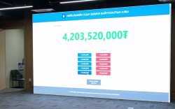 Эмийн үйлдвэрийн газар 9.3 тэрбум төгрөгөөр зарагдав