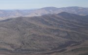 Сэлэнгэ аймагт гарсан түймрийг цурманд оруулжээ