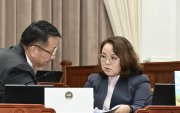 “Хөгжлийн бэрхшээлтэй иргэн НДШ төлөөд тэтгэвэр, зээл авч чадахгүй байгаа нь үнэн”