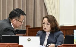“Хөгжлийн бэрхшээлтэй иргэн НДШ төлөөд тэтгэвэр, зээл авч чадахгүй байгаа нь үнэн”