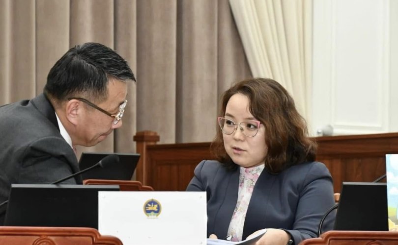 “Хөгжлийн бэрхшээлтэй иргэн НДШ төлөөд тэтгэвэр, зээл авч чадахгүй байгаа нь үнэн”