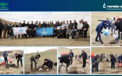 Төрийн банк: Модыг мода болгоё