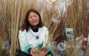"Нүхэн жорлонгийнхоо дэргэд 1-3 монос тарих хэрэгтэй"