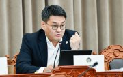 "Гаалийн татвар тэглэснээр ХАА салбар 28.4 хувиар унасан"