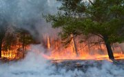 ОБЕГ: Ой, хээрийн 7 түймрийг унтраахаар ажиллаж байна