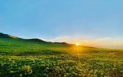 Зарим нутгаар 36 хэм хүрч халахыг анхаарууллаа
