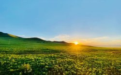 Зарим нутгаар 36 хэм хүрч халахыг анхаарууллаа