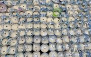 Хойд Солонгос руу мөнгө, будаа илгээхийг завдаад баривчлагдав
