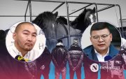 Байр суурь: Мал хулгайлсан этгээдийг 2-8 жил хорих ял оноох зохицуулалттай
