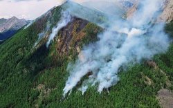 Хөвсгөлийн тайгад гарсан түймрийг унтраахаар ажиллаж байна