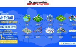Үндсэн хөрөнгөд оруулсан хөрөнгө оруулалт, санхүүгийн дэмжлэг,  хандивын зардлыг төлөх  татварын дүнгээс хасаж тооцно
