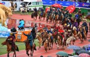 Байт харвааны тусгайлан сургасан 18 адууг хулгайлан төхөөрчээ