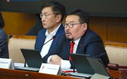 МАН-ын бүлэг Засгийн газрын гишүүдэд нэр дэвшүүлэх тухай тогтоолыг дэмжив